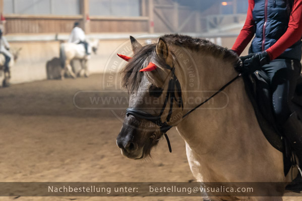 Bestellname: FMP_8420