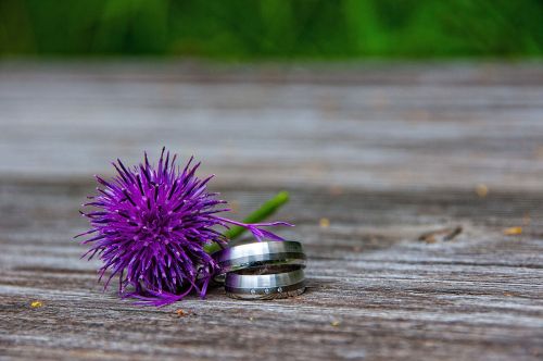 Hochzeit